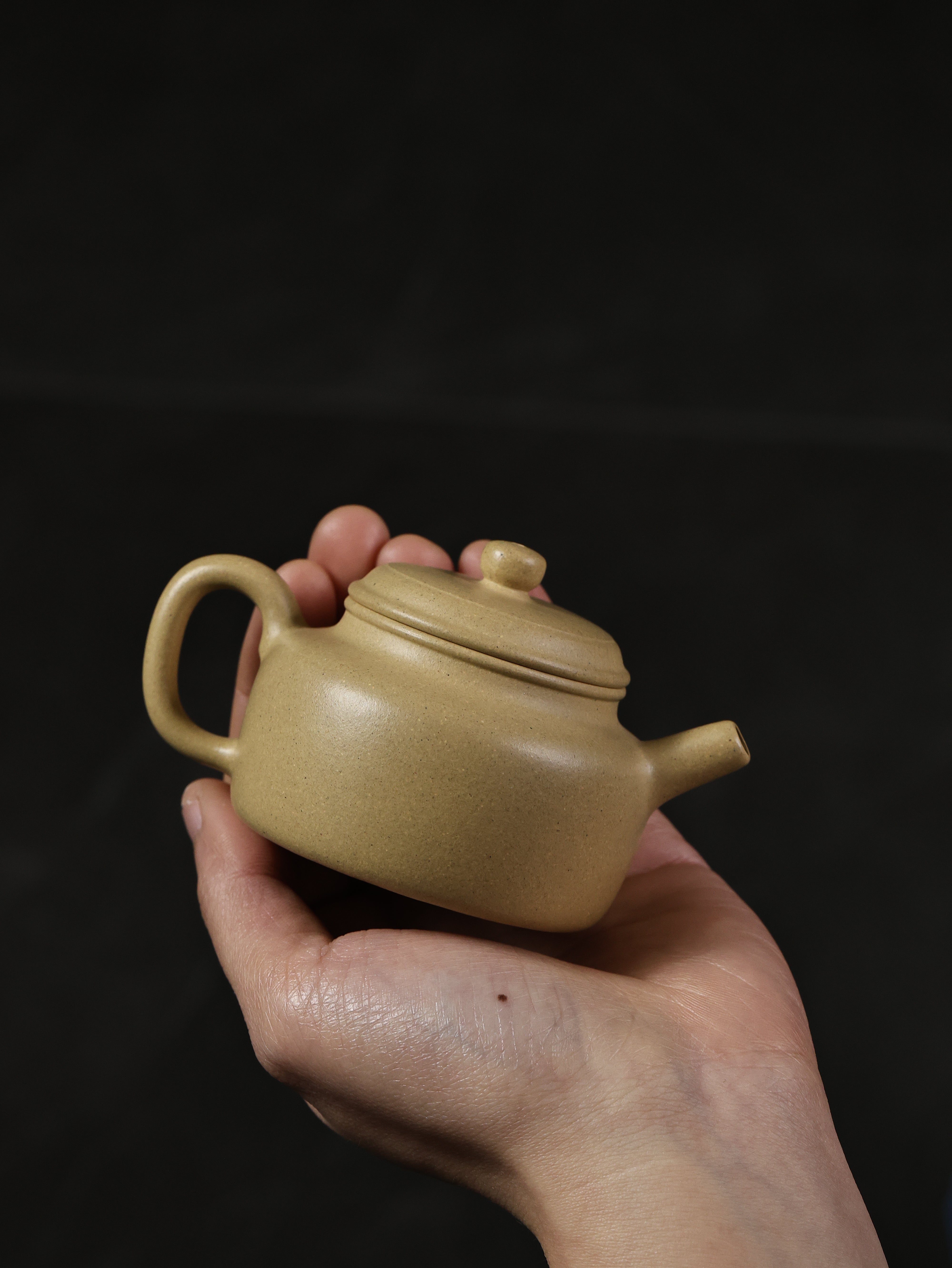 德钟 De Zhong Da Shui Tan Lüni RARE