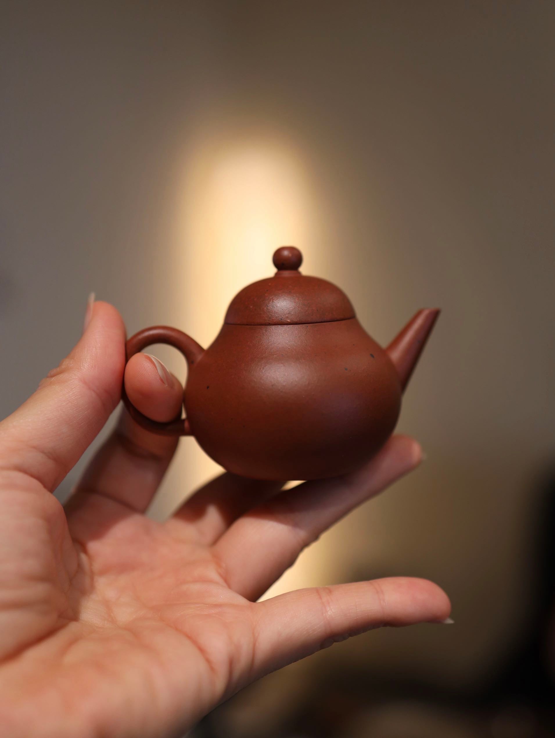 芭乐 Mini Guava Hong Ni