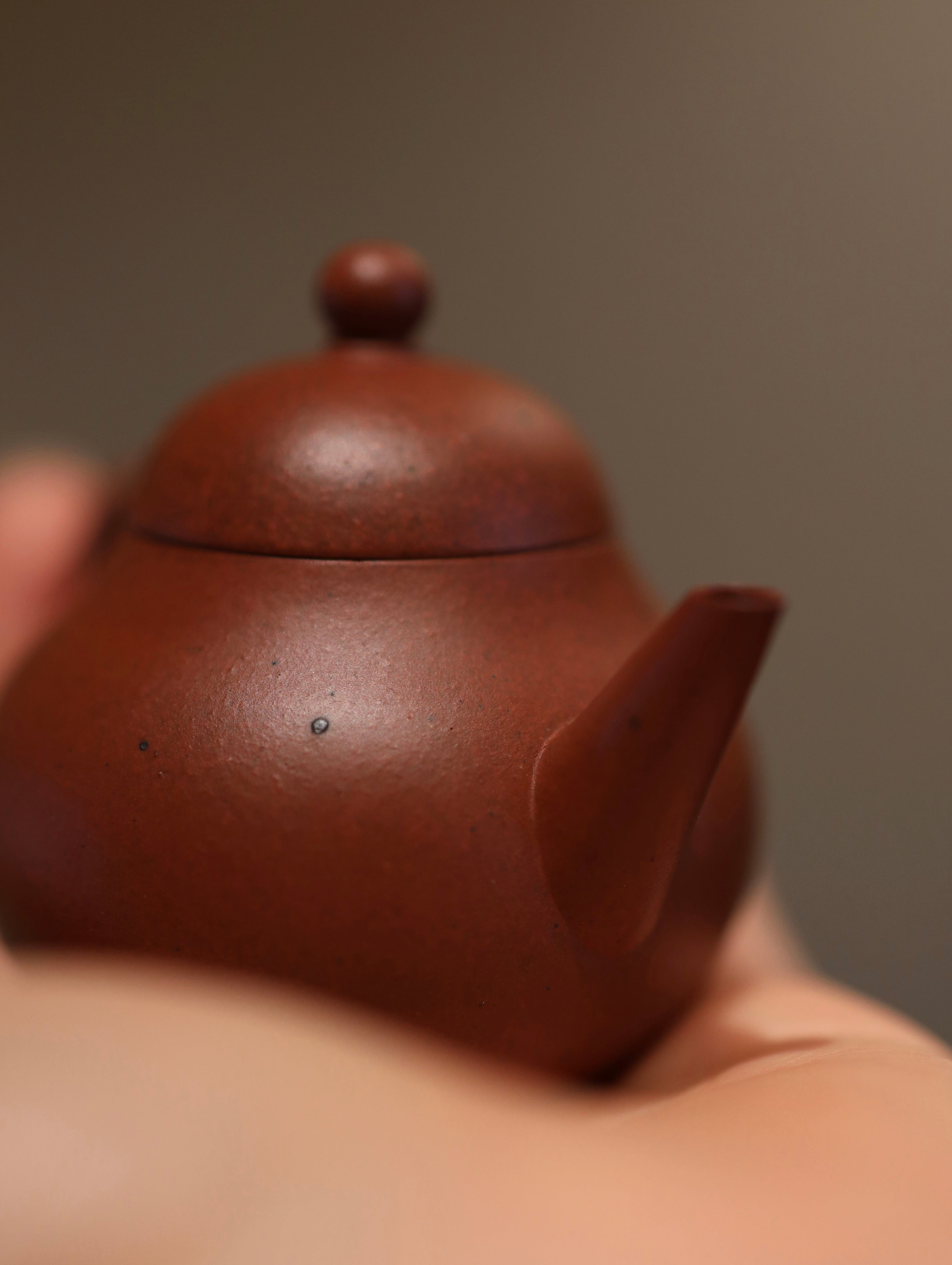 芭乐 Mini Guava Hong Ni